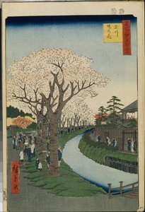 Honderd Beroemde Zichten van Edo: Kersenbloesems aan de Oever van de Tama-rivier door Ando or Utagawa Hiroshige