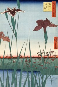 Horikiri Iris Tuin door Utagawa Hiroshige door Ando or Utagawa Hiroshige
