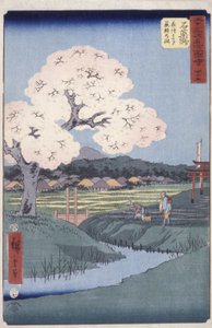 Ishiyakushi door Ando or Utagawa Hiroshige