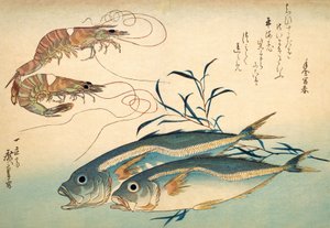 Japanse horsmakreel en Japanse tijgergarnaal