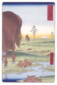 Kogane-vlakte in de provincie Shimōsa door Ando or Utagawa Hiroshige
