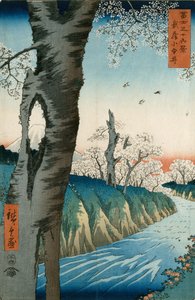 Koganei in de provincie Musashi