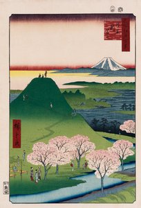 Nieuwe Fuji, Meguro, uit de serie Honderd Zichten op Beroemde Plaatsen in Edo