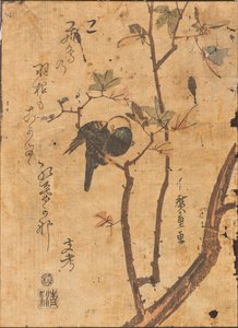 Studie van een slapende vogel op een tak door Ando or Utagawa Hiroshige
