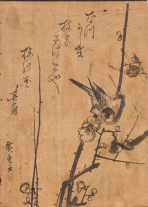 Studie van vogel op tak door Ando or Utagawa Hiroshige