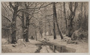Winterdag in een bos door André Bork