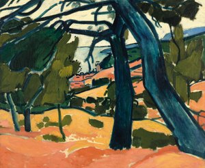 Landschap in Cassis