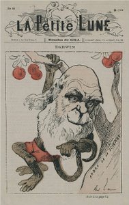 Darwin als aap op La Petite Lune door Andre Gill