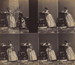 V Queniaus, mei-juni 1860