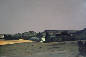 Provençaals landschap