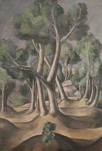 De Grove door Andre Derain