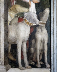 Molossische honden (detail) door Andrea Mantegna