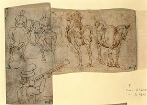 Inv nr.38 recto Schets van Paarden door Andrea Verrocchio
