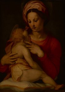De Madonna en Kind door Andrea del (attr.to) Sarto