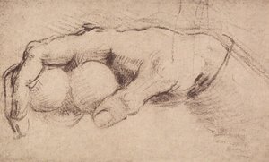 Een hand door Andrea del Sarto