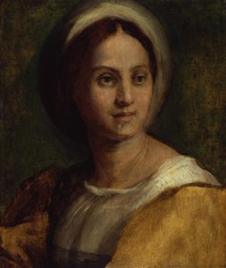  door Andrea del Sarto