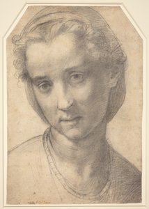  door Andrea del Sarto