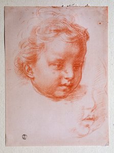 Hoofd van een putto
