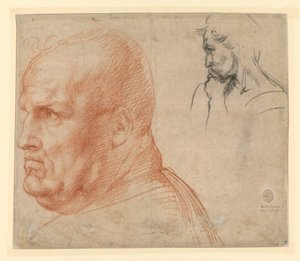  door Andrea del Sarto