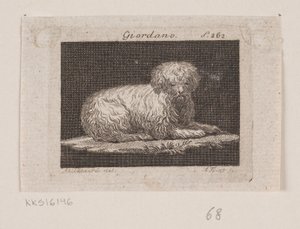 Giordano, een liggende hond door Andreas Flint