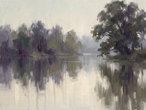Mistige rivierweerspiegelingen