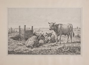 Deens: Een stier en twee koeien door Andreas Peter Madsen