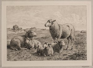 Deens: Schapen en lammeren in de wei door Andreas Peter Madsen