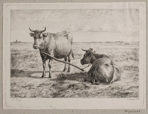 Deens: Twee met elkaar verbonden koeien door Andreas Peter Madsen