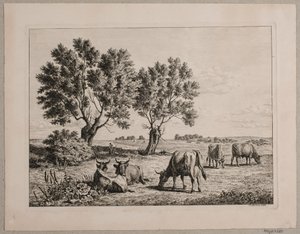 Landschap met grazend vee