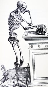 Menselijk Skelet met Schedel in de Hand. Uit "De Humani Corporis Fabrica" van Vesalius. Mogelijke Houtsnijder: Jan van Calcar door Andreas Vesalius