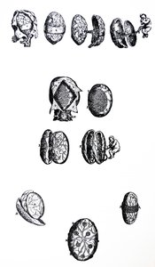 De Platen uit het Vijfde Boek van de De Humani Corporis Fabrica door Andreas Vesalius