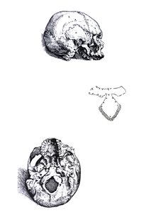 De Platen uit het Eerste Boek van de De Humani Corporis Fabrica door Andreas Vesalius