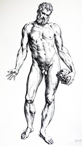 De platen uit het zevende boek van de De Humani Corporis Fabrica door Andreas Vesalius
