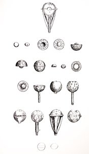 De Platen uit het Zevende Boek van de De Humani Corporis Fabrica door Andreas Vesalius