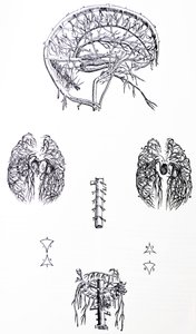 De Platen uit het Derde Boek van de De Humani Corporis Fabrica door Andreas Vesalius