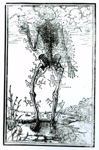 Vasculair Systeem van het Lichaam door Andreas Vesalius