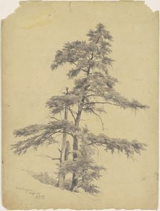 Bomen, West Virginia door Andrew Fisher Bunner