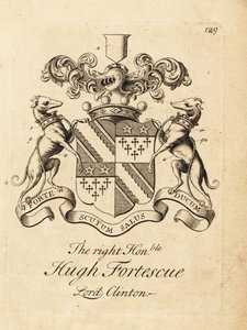 Wapen van de Hooggeachte Hugh Fortescue door Andrew Johnston