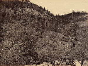 Plaat 19. Tussen het hout aan de kop van de Little Laramie River,1869 (foto) door Andrew Joseph Russell