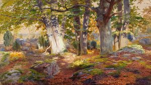 Herfstzonlicht na regen, Fontainebleau