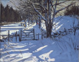 Poort bij Youlgreave, Derbyshire door Andrew Macara