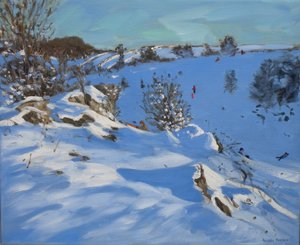Sleeën, Derbyshire, 2011 door Andrew Macara