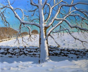 Met Sneeuw Bedekte Boom, 2011 door Andrew Macara