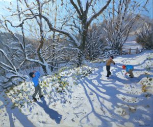 Sneeuwballengevecht, 2007