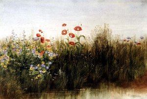 Wilde bloemen bij een stroom