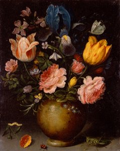 Bloemenstudie met Insecten