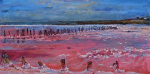 Weerspiegelingen in het Roze Meer