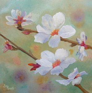 Witte amandelbloesems