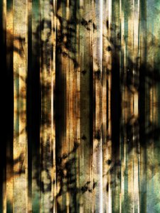 Abstracte bosschaduwen door Angelo Cerantola