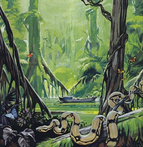 Verkenning van de rivier de Amazone (kleurenlitho)